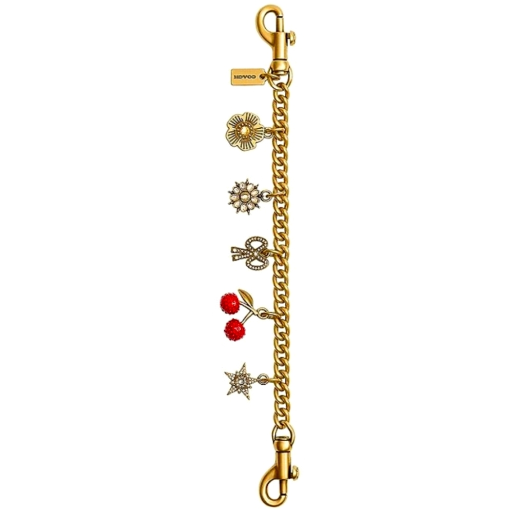 Coach Crystal Motif Chain Bag Charm CCX41